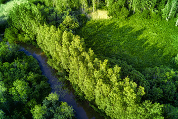 Hidden river valley in the deep forest aerial