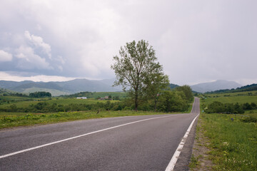 Landscape of asphalt road in the mountains. Many green trees. Vacation by car. 