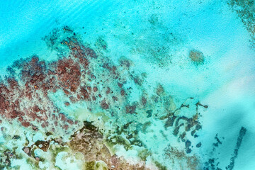 Tropical sea coast details. Aerial drone view from above.