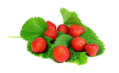 Fresh strawberry and green strawberry leaves isolated on a white background . Healthy food.