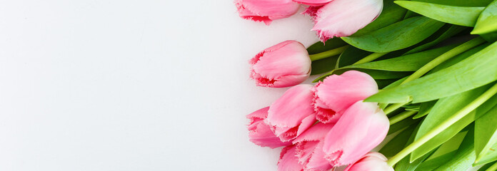 Bunch of pink tulips against white background.