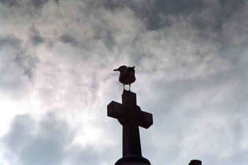 cross church building structure bird