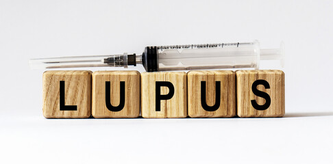Text LUPUS made from wooden cubes. White background
