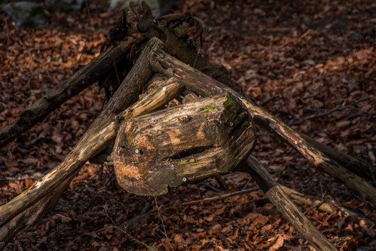 Large size of ant made of wood in botanical park Arboretum