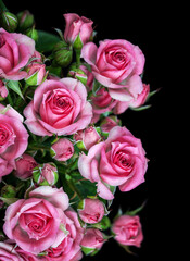 Beautiful Roses Bouquet Flowers Background