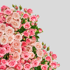 Beautiful Pink Roses Bouquet Flowers Background, symbol Valentine's Day, wedding day, love. Holiday concept, flat lay, top, card