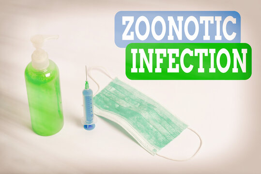 Writing Note Showing Zoonotic Infection. Business Concept For Communicable Disease Transmitted By A Non Viral Agent Primary Medical Precautionary Equipments For Health Care Protection