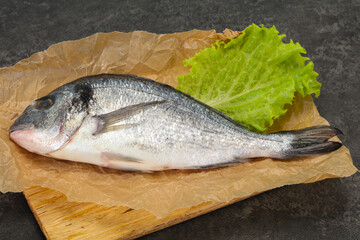 Raw Dorada fish  for cooking