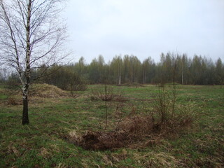 Military excavations near Novgorod the Great, Russia, 2011 (153)