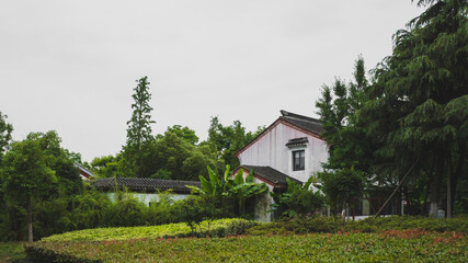 Chinese architecture between trees in South Lake scenic area in Jiaxing, China