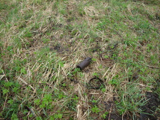 Military excavations near Novgorod the Great, Russia, 2011 (115)