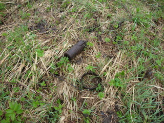 Military excavations near Novgorod the Great, Russia, 2011 (114)