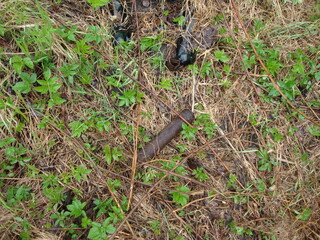 Military excavations near Novgorod the Great, Russia, 2011 (102)