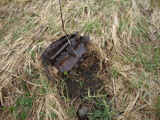 Military excavations near Novgorod the Great, Russia, 2011 (88)