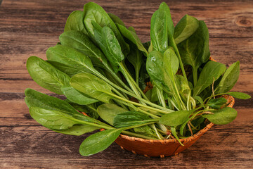 Fresh green Spinach leaves heap