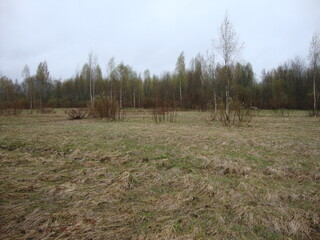 Military excavations near Novgorod the Great, Russia, 2011 (27)