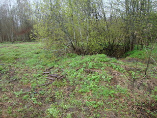 Military excavations near Novgorod the Great, Russia, 2011 (4)