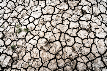 Dry riverbed at the Severn Estuary