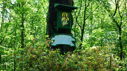 Obraz święty Marii umieszczony n starym Dębie w mieście Żory, podbisany: "Któlowo korony polski módl się za nami". © Sławek