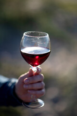 on a blurred background of green grass a glass with red wine in hand