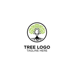 Tree With Root Logo Design