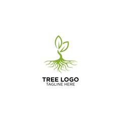 Tree With Root Logo Design
