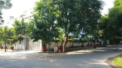 Beautiful House in Green Landscape, India
