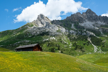 Fototapeta na wymiar Log House with colorful alpine meadow and peaks around, Vorarlberg, Austria, Europe