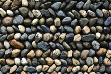 洪水から守る石の壁　出水市河川敷