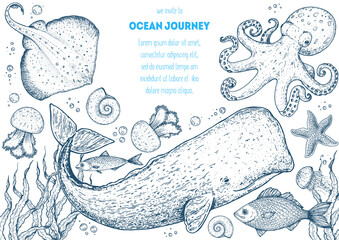 Sea animals hand drawn collection. Sketch illustration. Cachalot, cramp-fish, octopus, starfish, jellyfish, seaweed illustration. Vintage design template. Undersea world. © DiViArts
