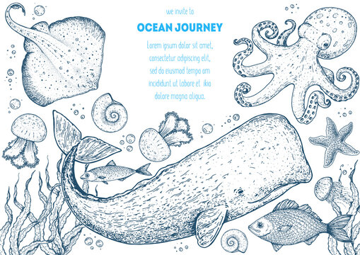 Sea animals hand drawn collection. Sketch illustration. Cachalot, cramp-fish, octopus, starfish, jellyfish, seaweed illustration. Vintage design template. Undersea world.