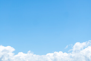 whales in the Atlantic ocean with a beautiful view