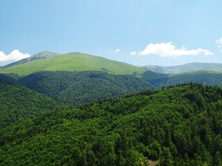 mountain landscape with trees