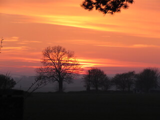 Coucher de soleil dans un champ