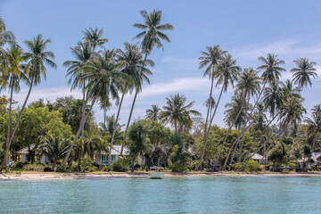 Obraz premium palm trees on the beach, Koh Mak beach, Koh Mak Island , Thailand.