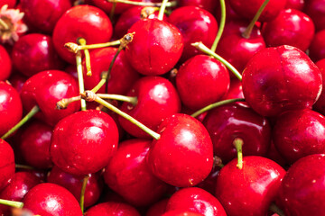 Harvest of red cherries on a market stall.