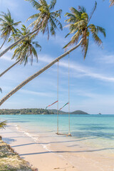 palm trees and swings on the beach,
Koh Mak beach, Koh Mak Island , Thailand.