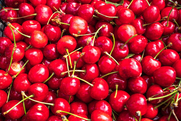 Harvest of red cherries on a market stall.