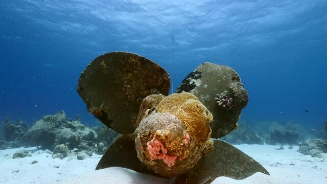 Wreck in turquoise water of coral reef in Caribbean sea / Curacao with sponge
