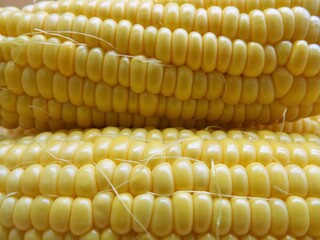 とうもろこし14