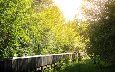 People walking on a wood deck in the park on a bright spring day