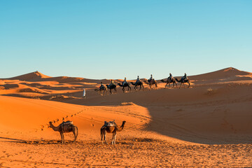 Sahara desert near Merzouga, Morocco