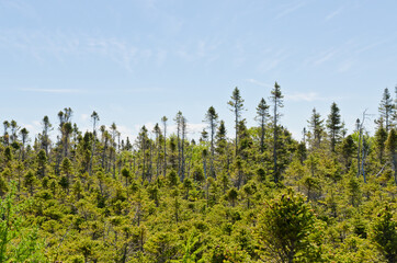 Gros Morne National Park