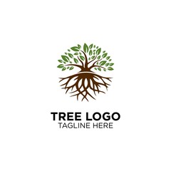 Tree With Root Logo Design