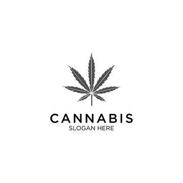 cannabis marijuana natural logo template 