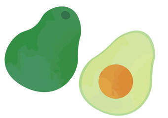 アボカドのイラスト