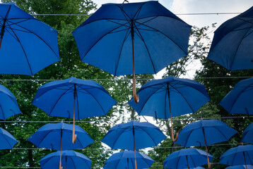 Wiszące parasolki na tle parku - obrazy, fototapety, plakaty