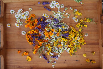 essbare Blüten trocknen