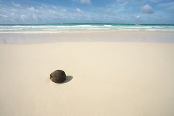 Okinawa,Japan-June 21, 2020: A coconut on white beautiful sand of Toguchinohama beach in Irabujima island, Japan

