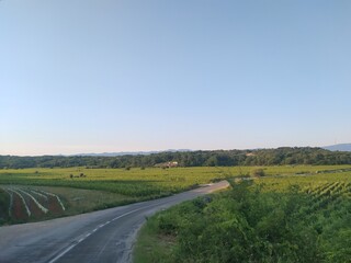 Road through vineyards in Vrbnik, island Krk